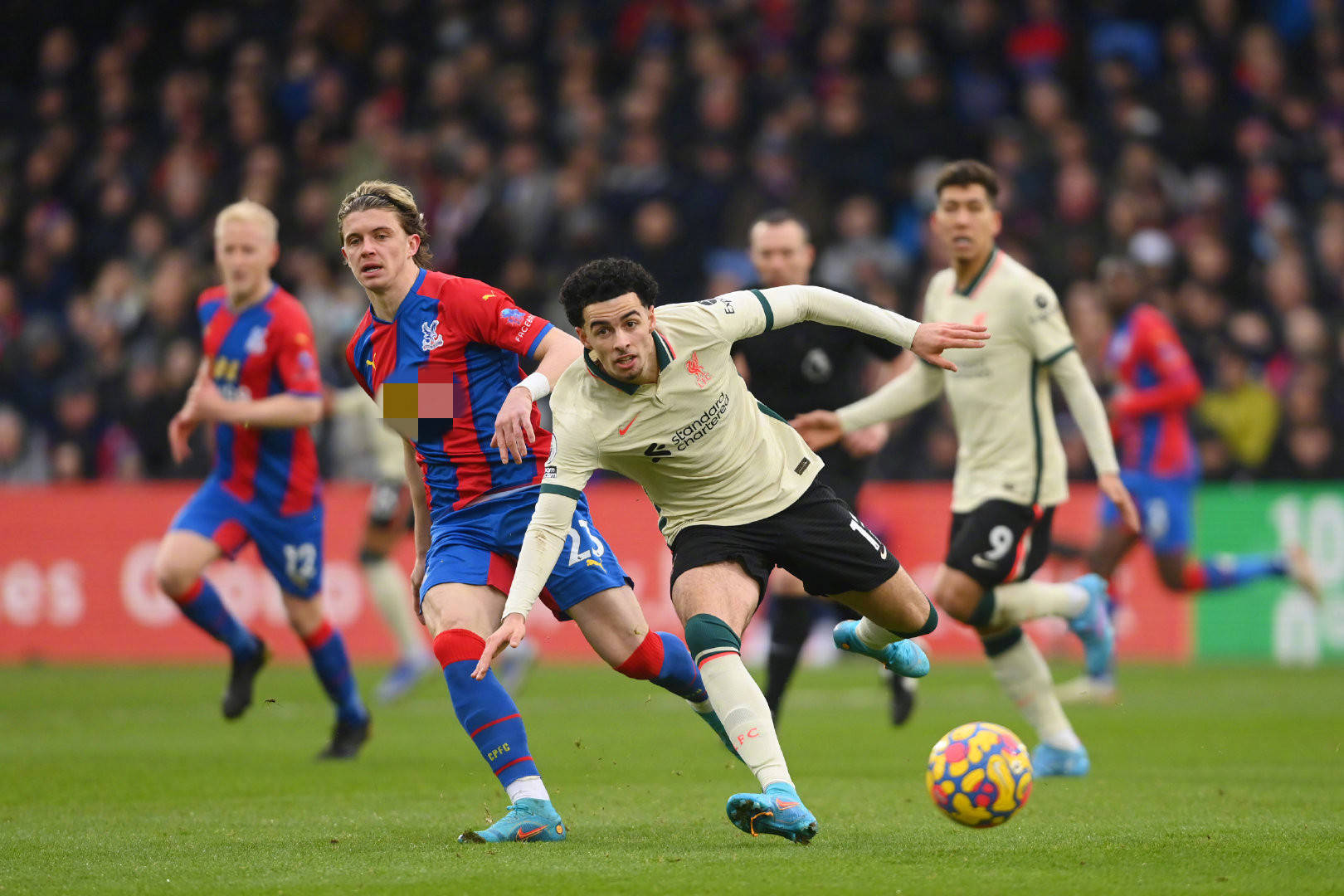 不容忽视的 不容忽视的